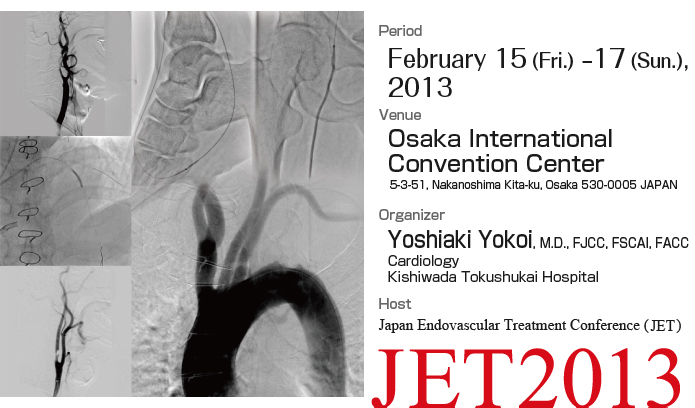 February 15 (Fri.) - 17 (Sun.), 2013 Osaka International Convention Center　Organizer: Yoshiaki Yokoi